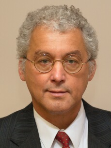 Alexander Meduna, Author