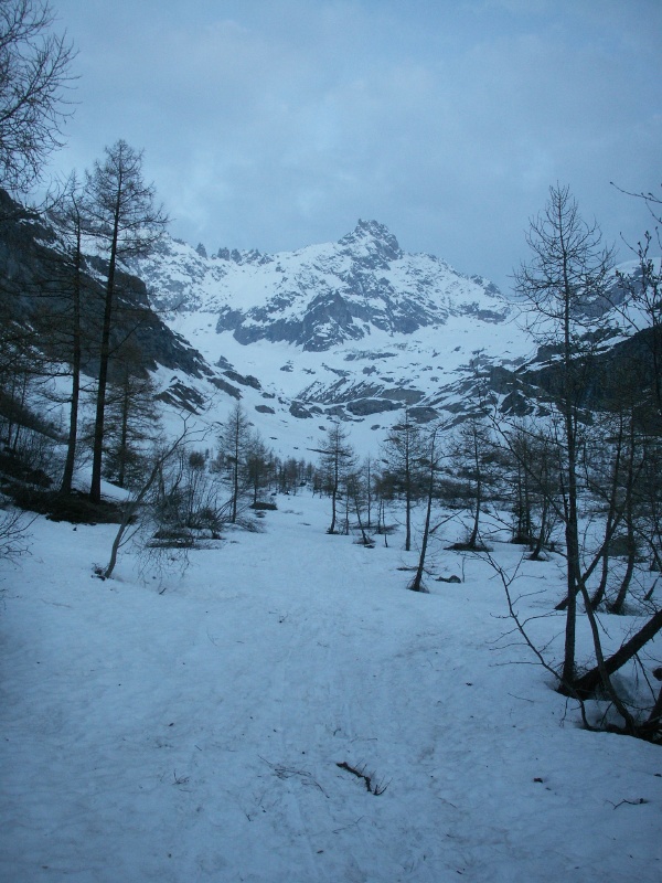 Tour Noir (3835m), glacier de la Neuve